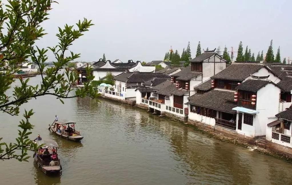 救援小白狼